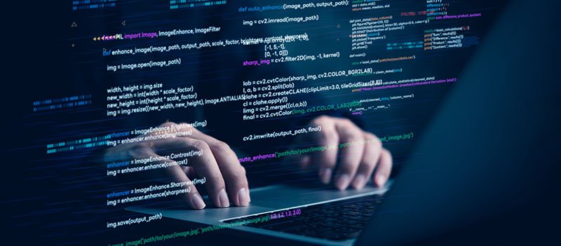 Web Developer